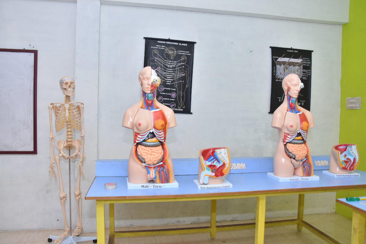pranav college of nursing academy